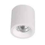 LED COB downlight (30 Watt)