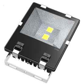 COB flood light (100 Watt)
