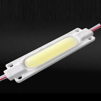 LED module (2 Watt)