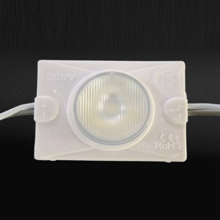 LED module (1.6 Watt)