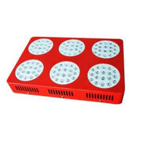 LED Horticultural Lighting